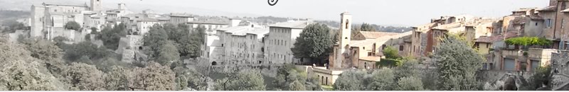 Travel consultation and special services in Italy.  Advanced reservations for Italian museums.  